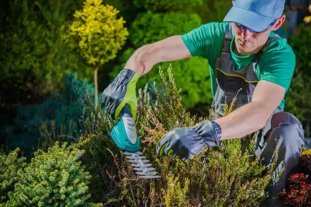 landscaping services Bellerose